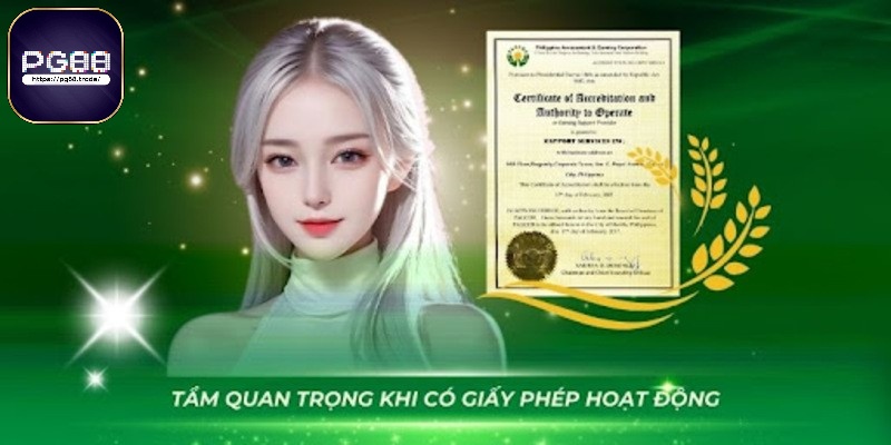 Tầm quan trọng của giấy phép hoạt động PG88