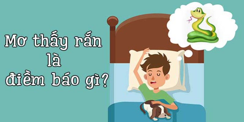 Nằm mơ thấy rắn là gì?