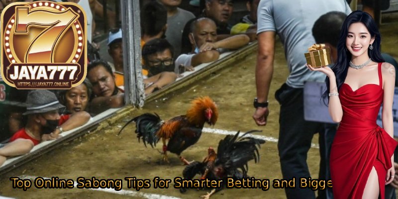 Top-Online-Sabong-Tips-for-Smarter-Betting-and-Bigger-Wins