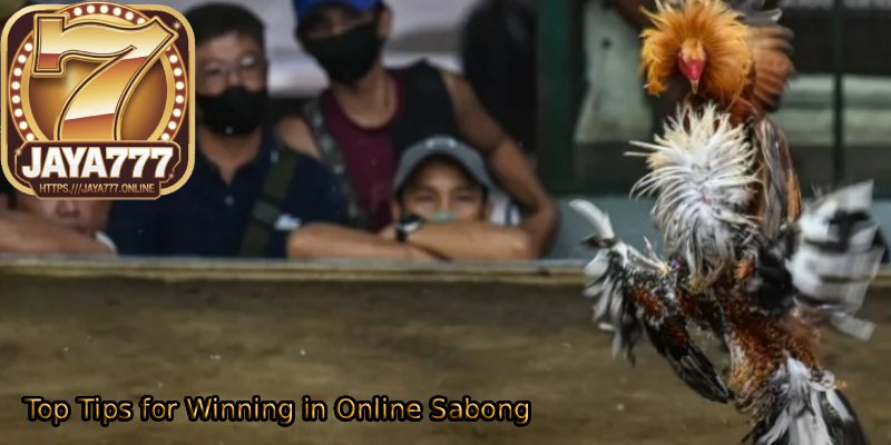 Top-Tips-for-Winning-in-Online-Sabong