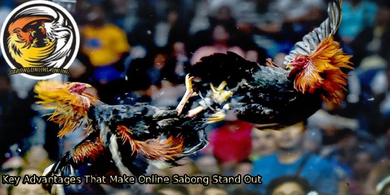 Key-Advantages-That-Make-Online-Sabong-Stand-Out.