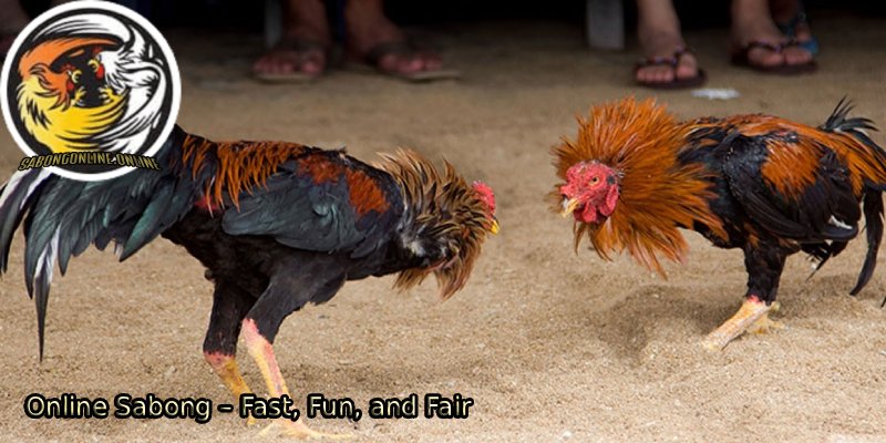 Online-Sabong-–-Fast-Fun-and-Fair