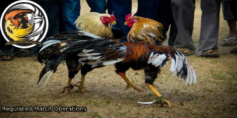 Regulated-Match-Operations