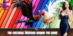 The Cultural Heritage Behind the Game