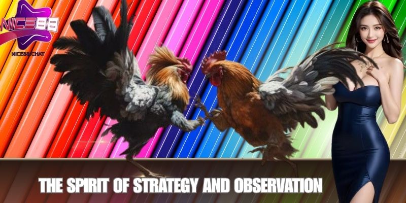 The Spirit of Strategy and Observation