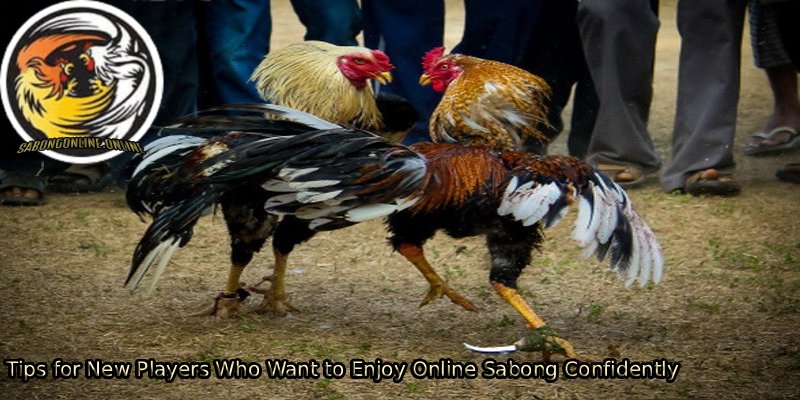Tips-for-New-Players-Who-Want-to-Enjoy-Online-Sabong-Confidently