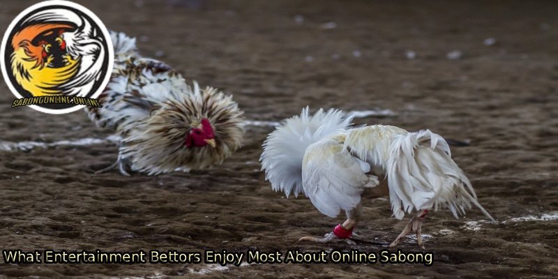 What-Entertainment-Bettors-Enjoy-Most-About-Online-Sabong